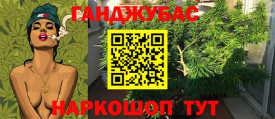 мяу мяу мука Усть-Джегута