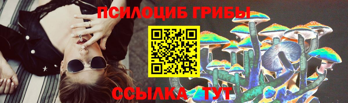 Лыткарино  Псилоцибиновые грибы MAGIC MUSHROOMS  Псилоцибиновые грибы Psilocybine cubensis  Вход с VPN 
